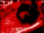 666666