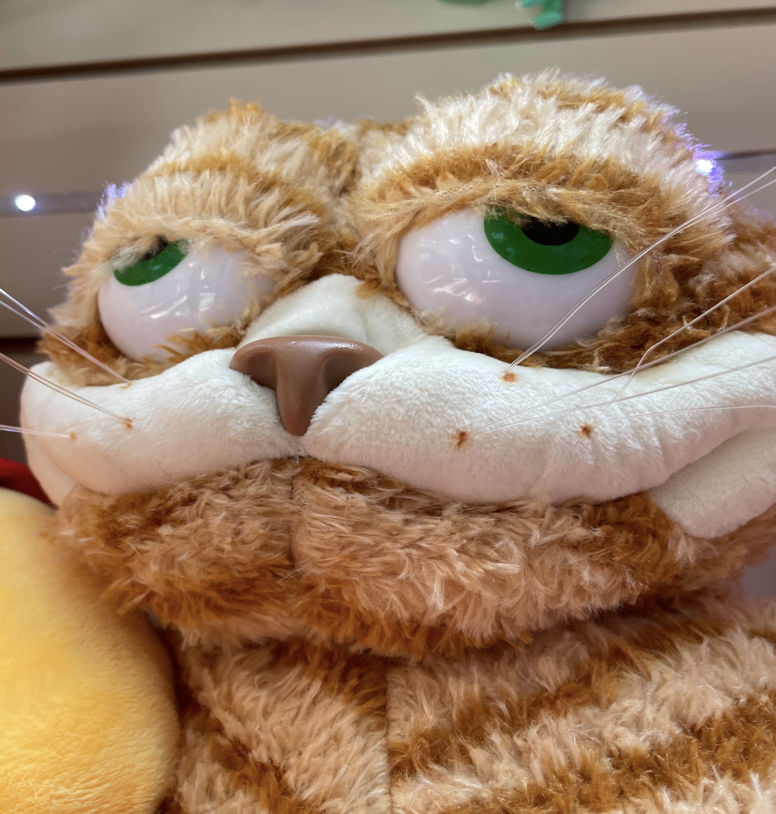 HungoverGarfield739