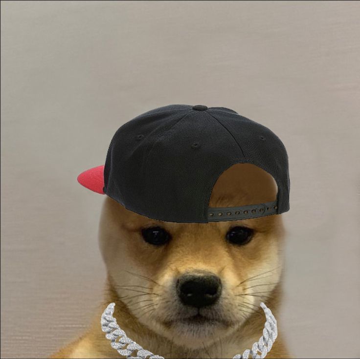 Snackrunner