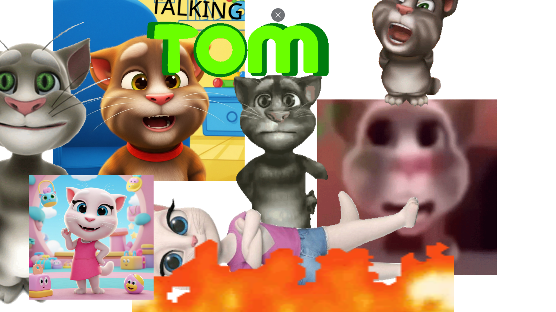 TheRealTom