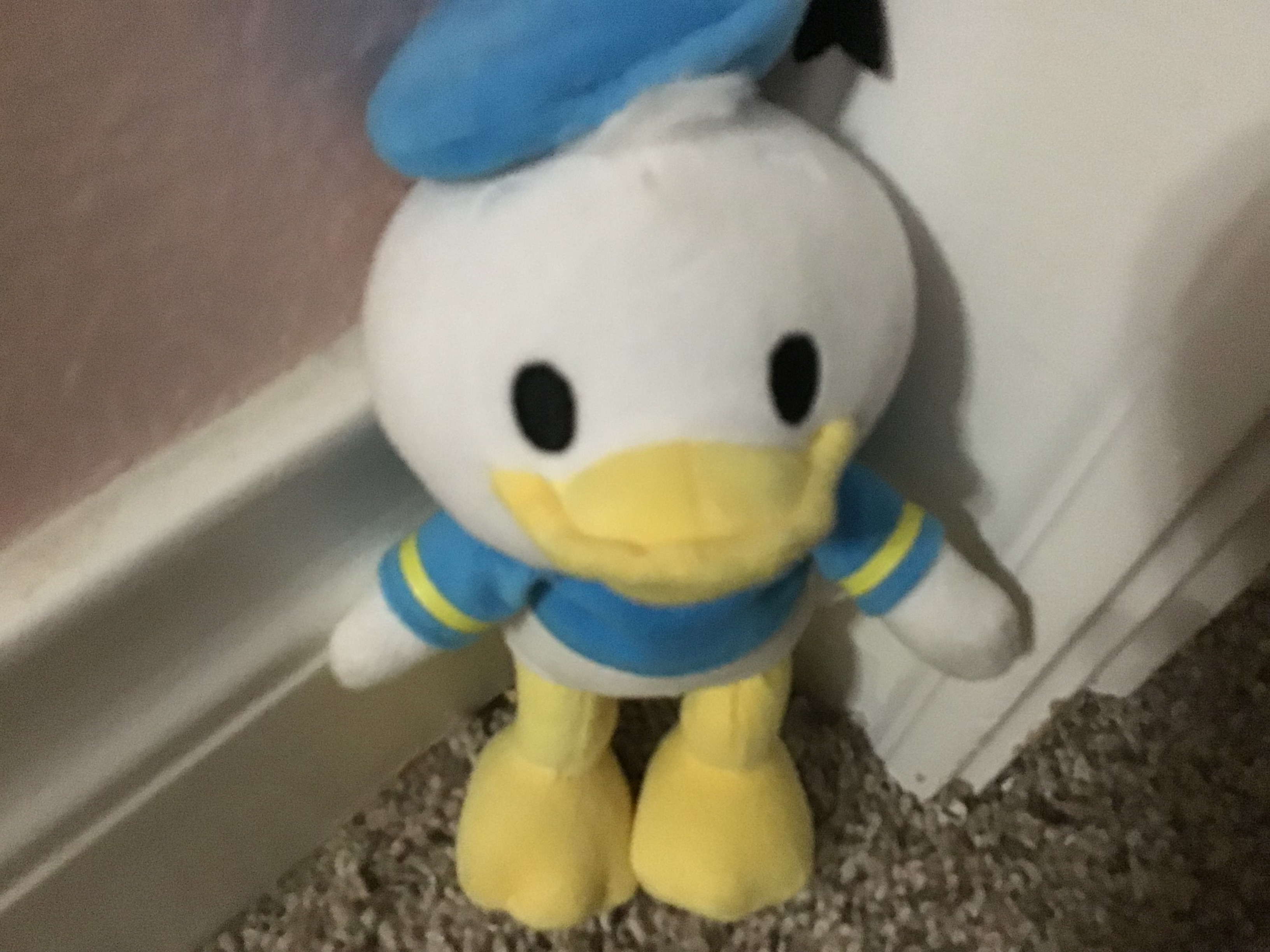 donaldduckjrthegoofyboi3672