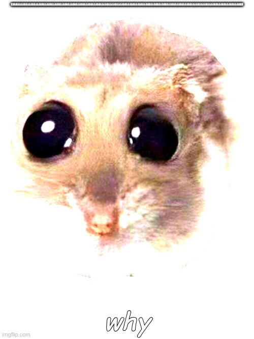 lilsillyguy