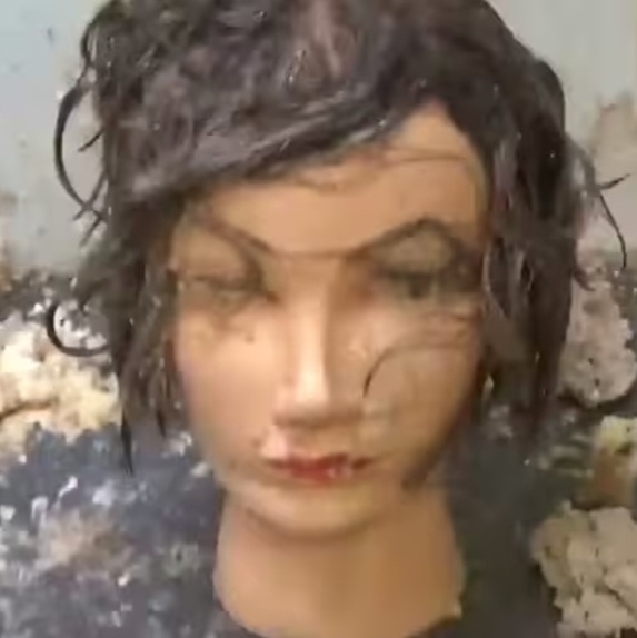 TheVoicesInsideMyHead