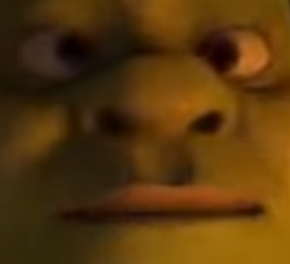 XXXShrektacion