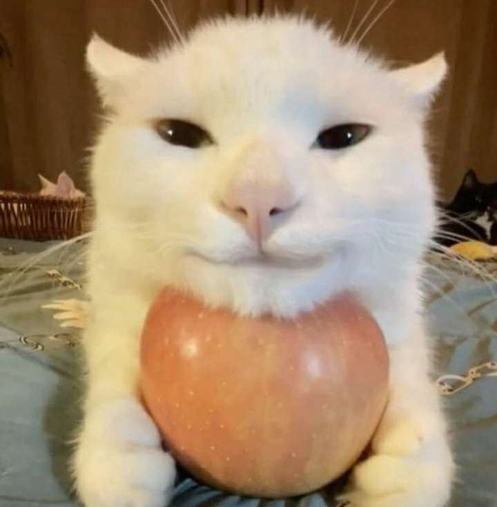 catwithapple