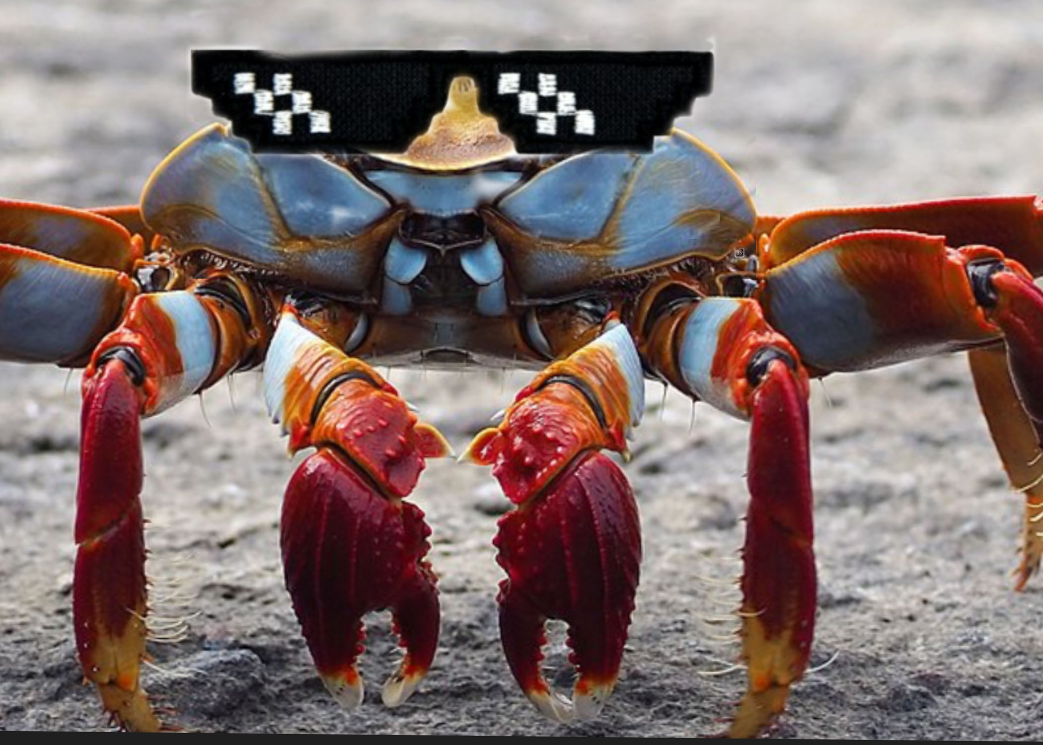 CrabCore_Productions