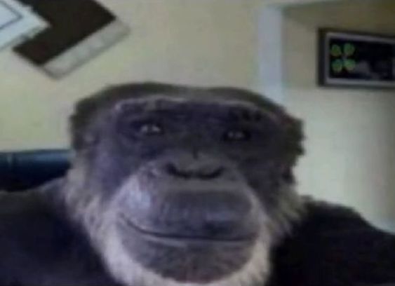 JA8