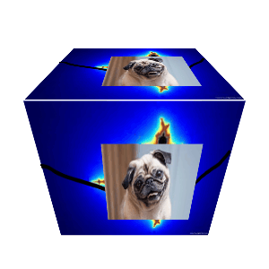 pugnumber450