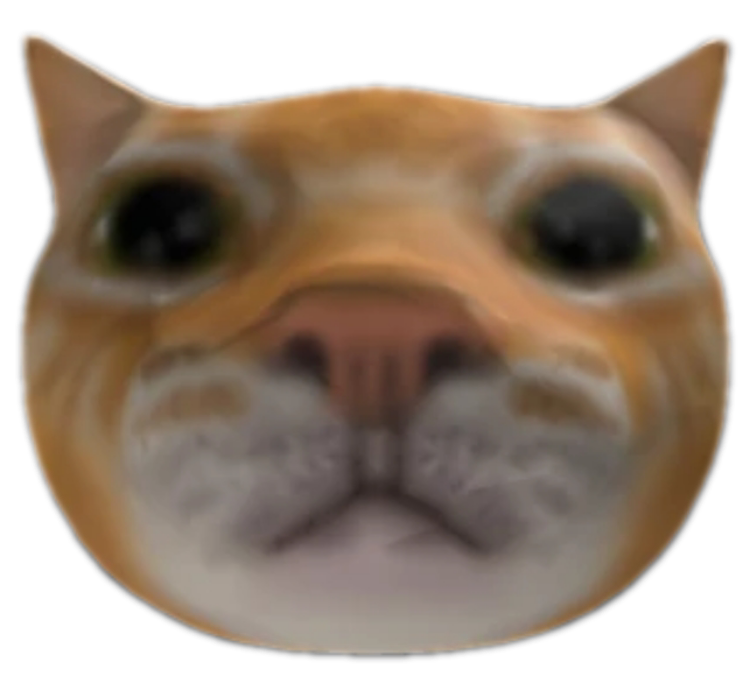 MrMeow