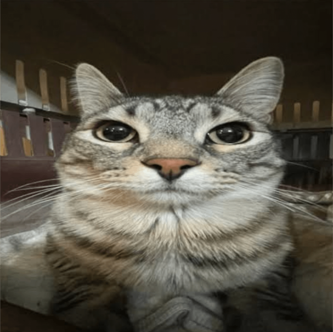 dengledangle