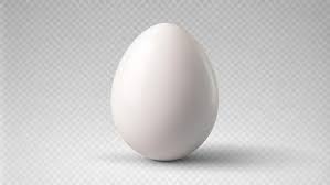 The_Egg