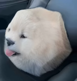 Mrvoid