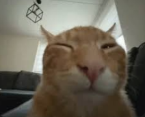 Buh