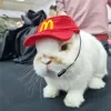 EvilBunny