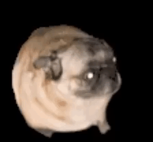 Pugmaster