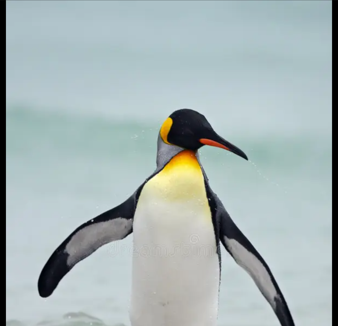 IceSkrikePengu