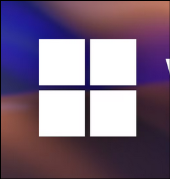 WINDOWS11_USERIWASBFDI_WISEVMDEV
