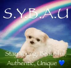 JustSybau