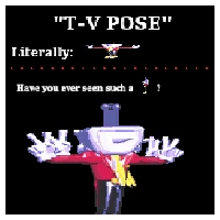 TVPOSE