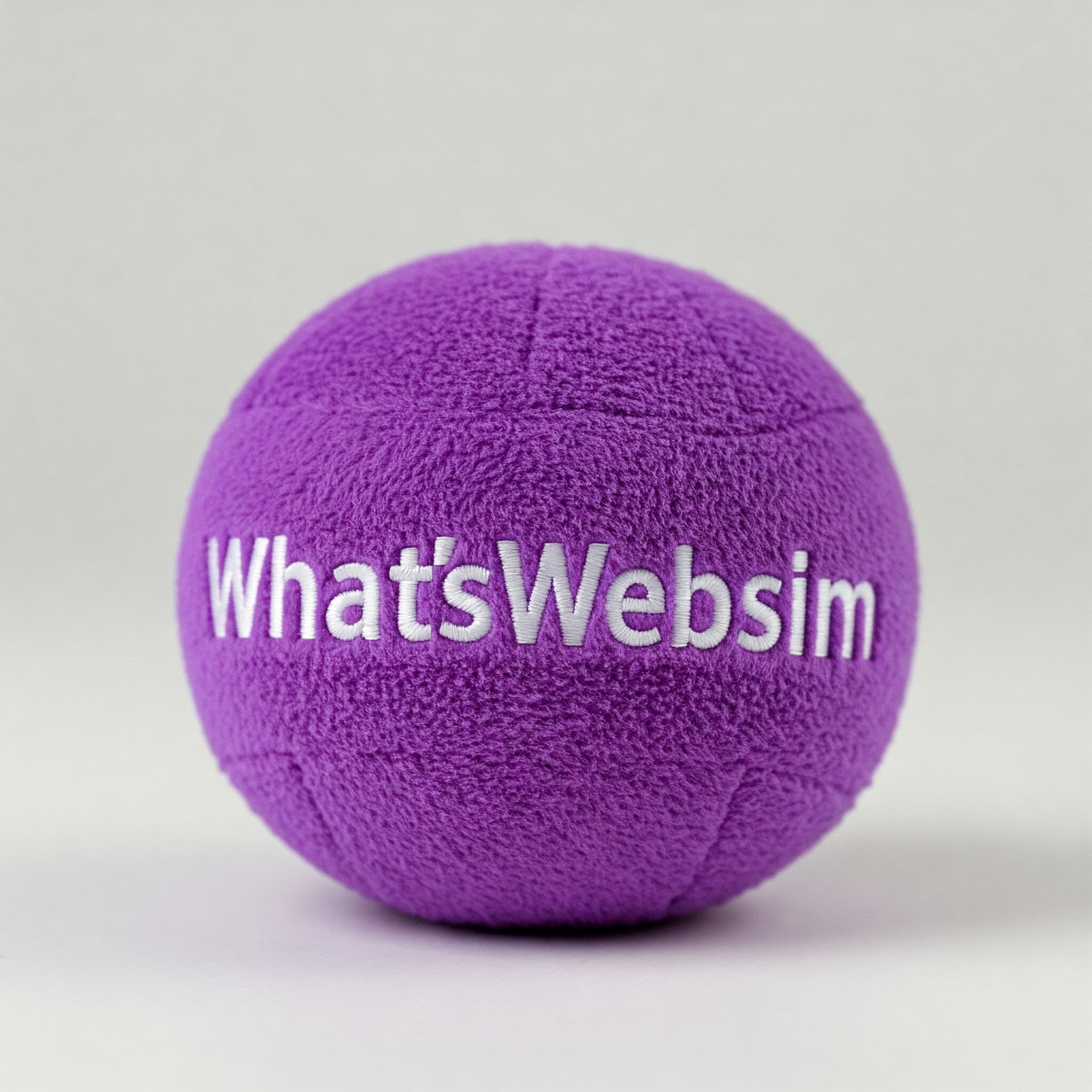 WhatsWebsim