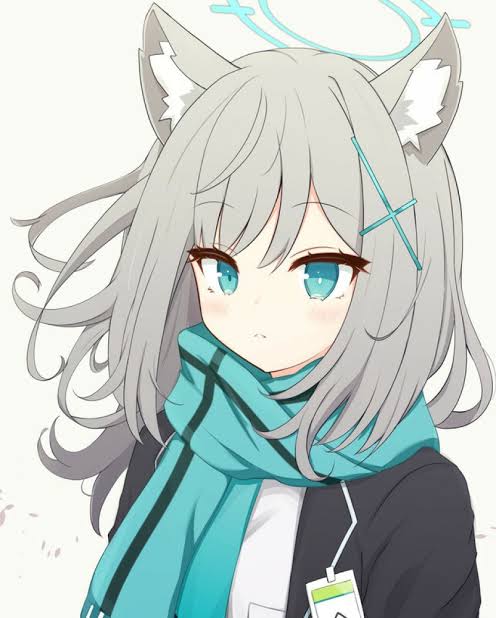Itx_Meow
