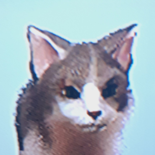 sammie