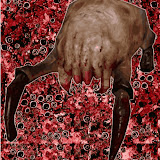 Anomitorch