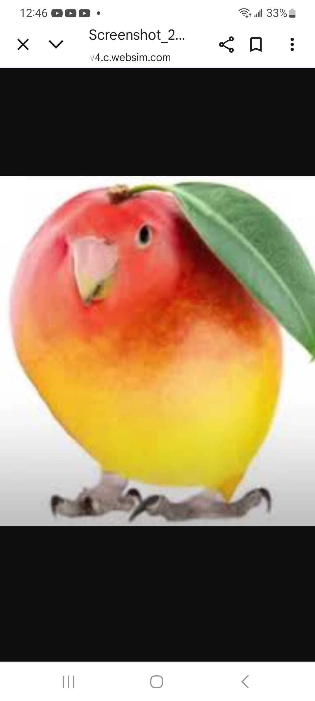 Mangobird