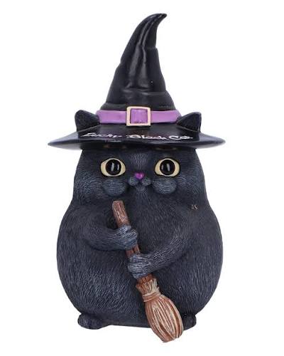 blackkitten